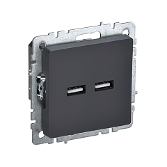 Роз. USB A+A 3,1А б/рамки "BRITE" графит (1/80)