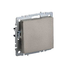 Выкл 1-кл. прох. 10А б/рамки "BRITE" шампань (1/100)