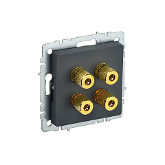 Роз. аудио 4-мест. "BRITE" графит (1/100)